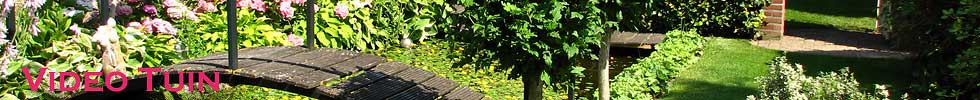 Video Tuin