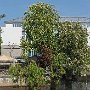 Hotel Lippstadt