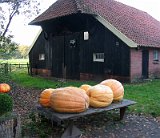 IMG 4328