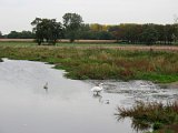 IMG 4329