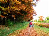 IMG 4330