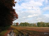 IMG 4332
