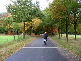 IMG 4336